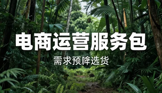 商品定制在电商代运营中的性能表现与适用场景分析